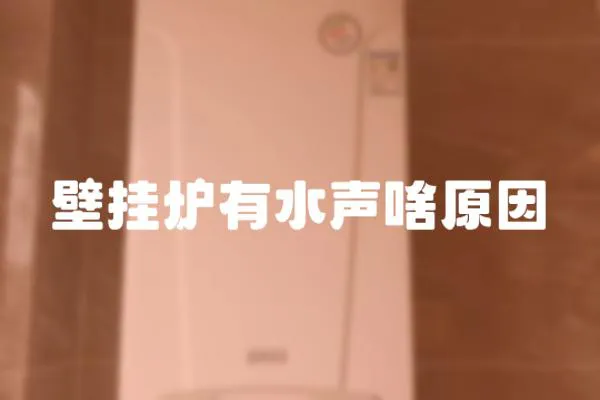 壁掛爐有水聲啥原因