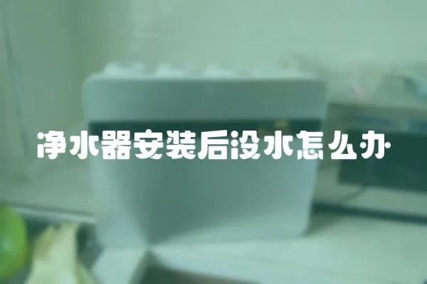 凈水器安裝后沒水怎么辦