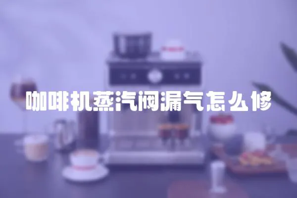 咖啡機蒸汽閥漏氣怎么修