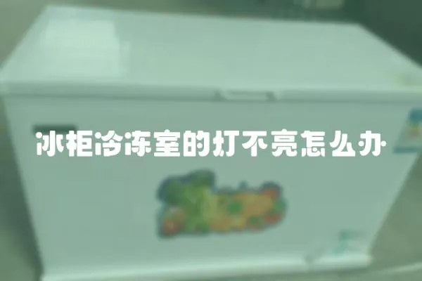冰柜冷凍室的燈不亮怎么辦