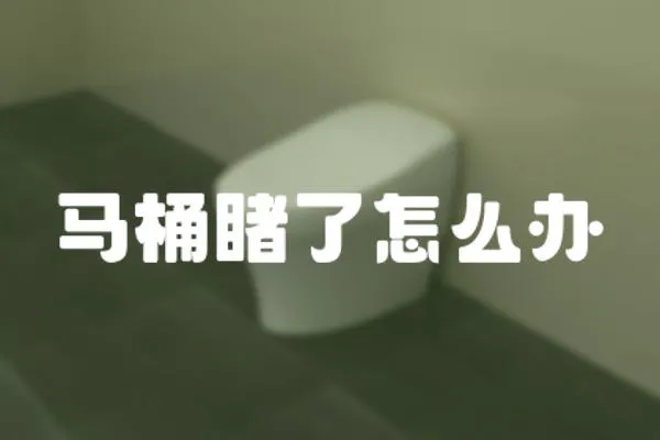 馬桶睹了怎么辦