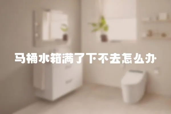 馬桶水箱滿了下不去怎么辦