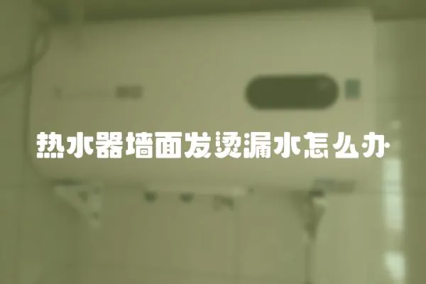 熱水器墻面發(fā)燙漏水怎么辦