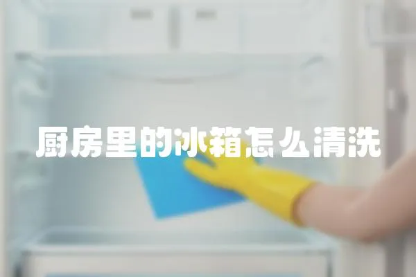 廚房里的冰箱怎么清洗