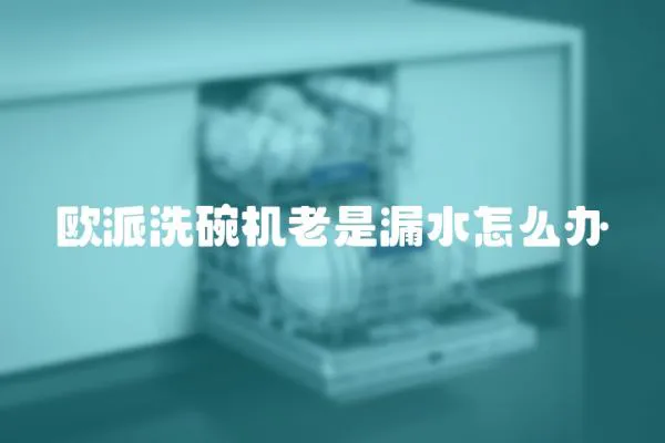 歐派洗碗機老是漏水怎么辦