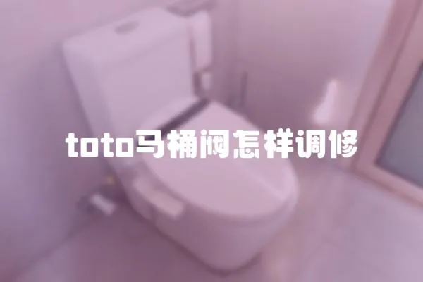 toto馬桶閥怎樣調修
