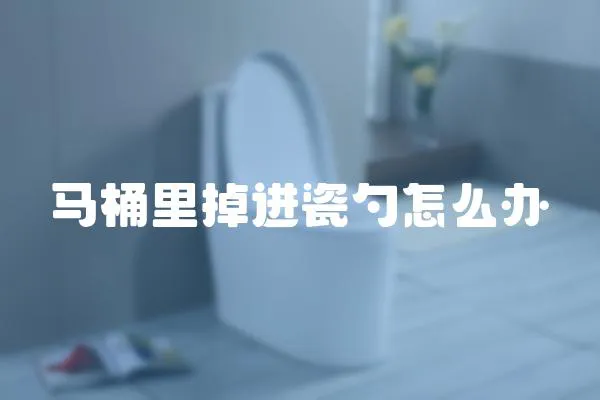 馬桶里掉進瓷勺怎么辦