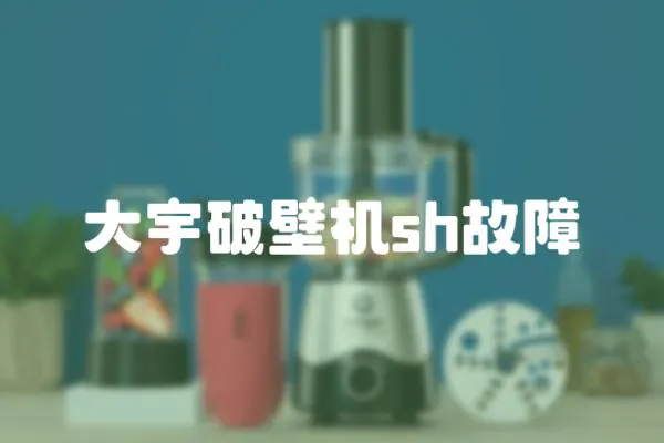 大宇破壁機sh故障
