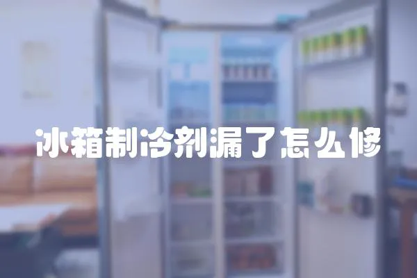 冰箱制冷劑漏了怎么修