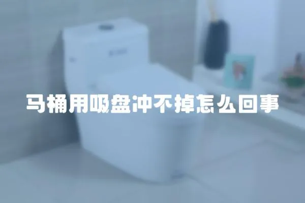 馬桶用吸盤沖不掉怎么回事