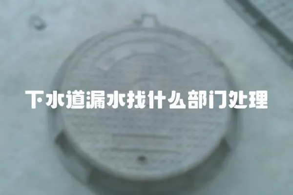 下水道漏水找什么部門處理