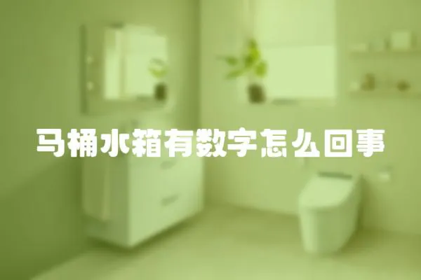 馬桶水箱有數字怎么回事