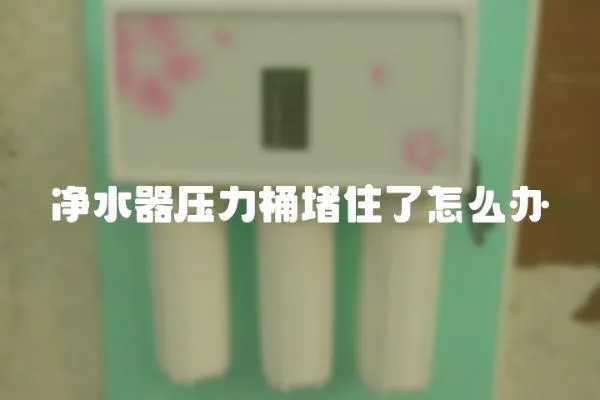 凈水器壓力桶堵住了怎么辦