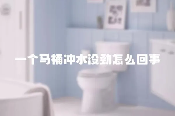 一個馬桶沖水沒勁怎么回事