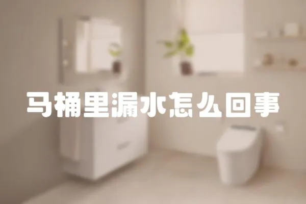 馬桶里漏水怎么回事