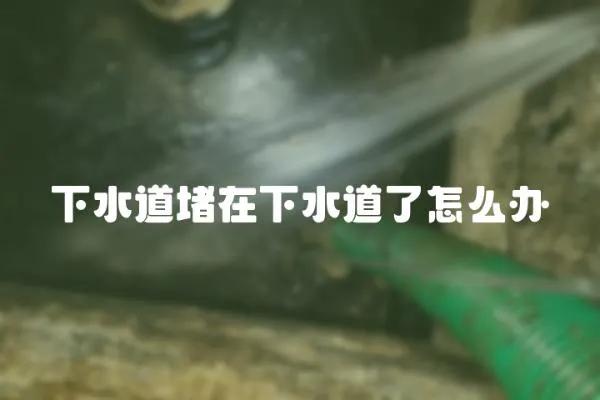 下水道堵在下水道了怎么辦