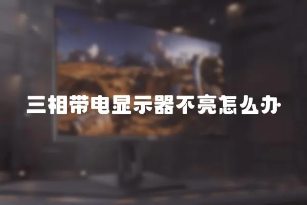 三相帶電顯示器不亮怎么辦