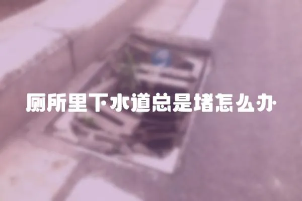 廁所里下水道總是堵怎么辦