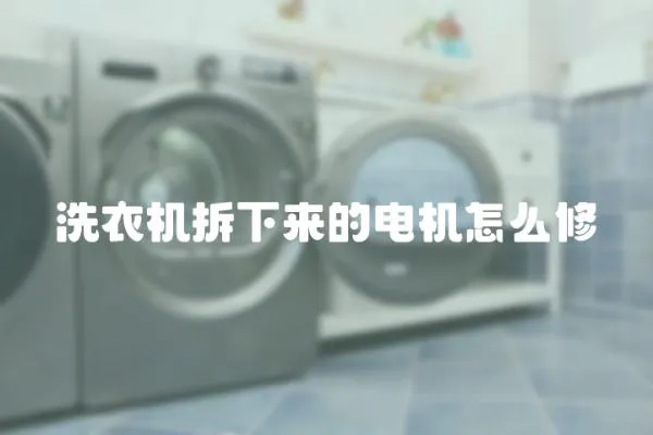 洗衣機拆下來的電機怎么修
