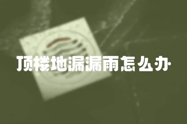 頂樓地漏漏雨怎么辦