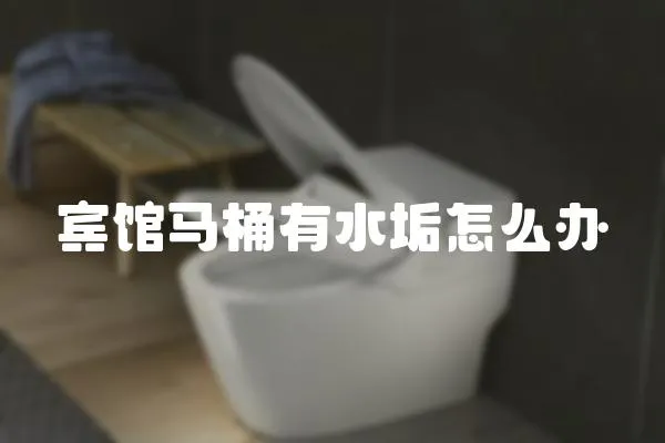 賓館馬桶有水垢怎么辦