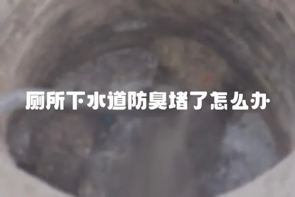 廁所下水道防臭堵了怎么辦