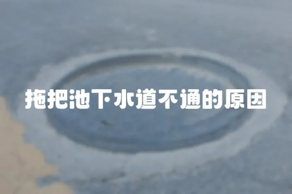 拖把池下水道不通的原因