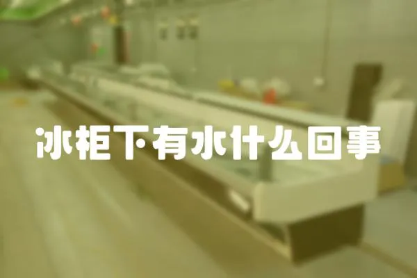 冰柜下有水什么回事