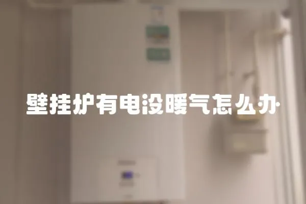 壁掛爐有電沒暖氣怎么辦