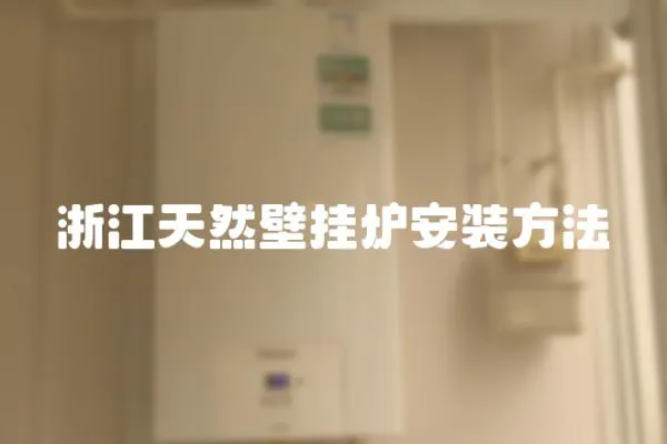 浙江天然壁掛爐安裝方法