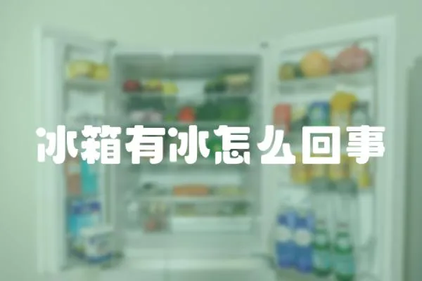 冰箱有冰怎么回事