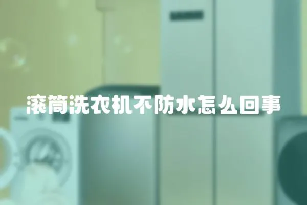 滾筒洗衣機不防水怎么回事