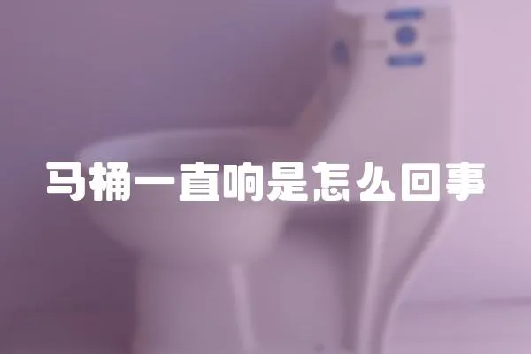 馬桶一直響是怎么回事