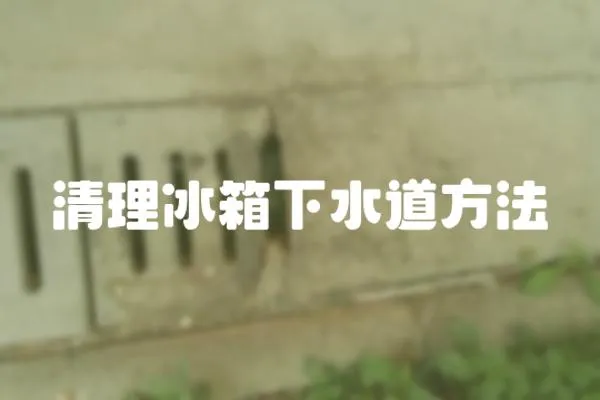 清理冰箱下水道方法