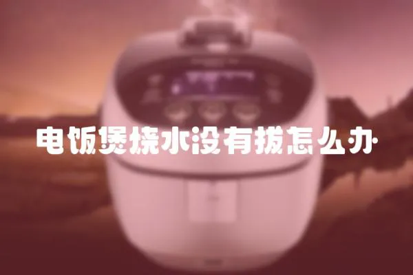 電飯煲燒水沒有拔怎么辦
