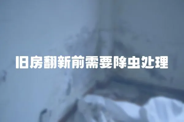 舊房翻新前需要除蟲處理