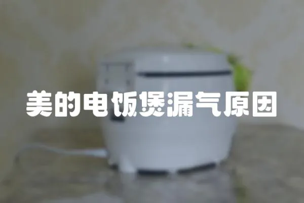 美的電飯煲漏氣原因