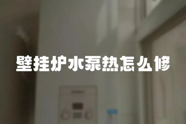 壁掛爐水泵熱怎么修