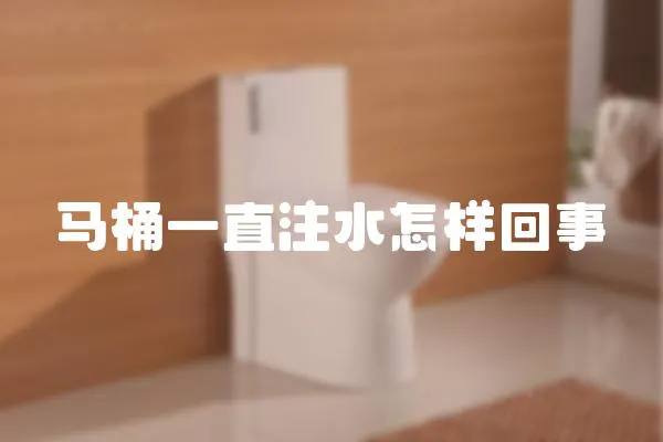 馬桶一直注水怎樣回事