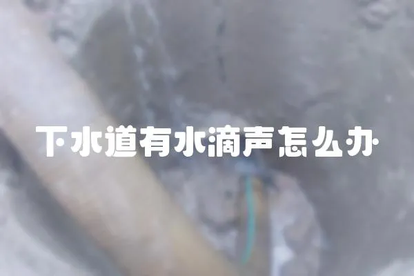 下水道有水滴聲怎么辦