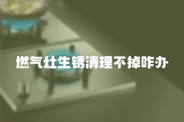 燃氣灶生銹清理不掉咋辦