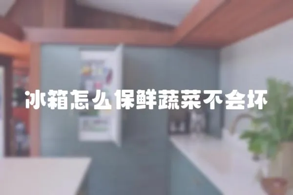 冰箱怎么保鮮蔬菜不會(huì)壞
