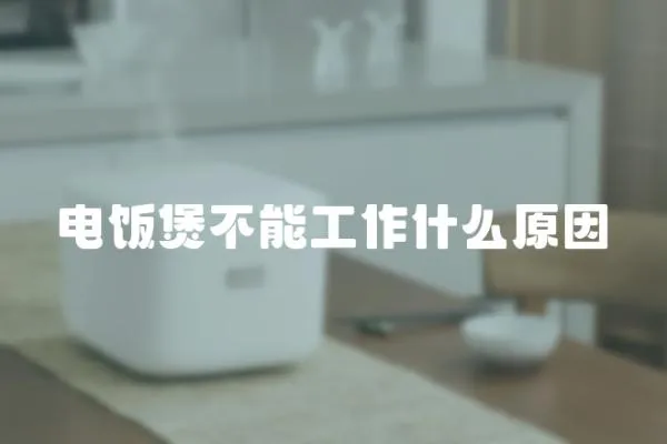 電飯煲不能工作什么原因