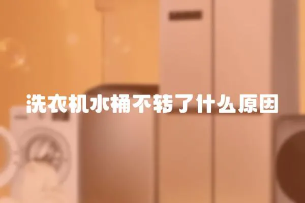 洗衣機(jī)水桶不轉(zhuǎn)了什么原因