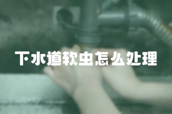 下水道軟蟲怎么處理