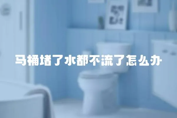 馬桶堵了水都不流了怎么辦