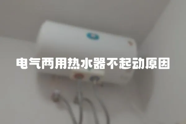 電氣兩用熱水器不起動原因