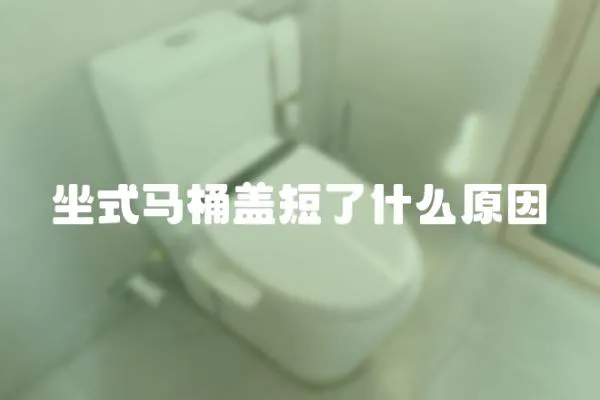 坐式馬桶蓋短了什么原因