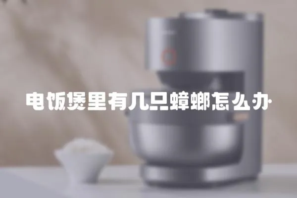 電飯煲里有幾只蟑螂怎么辦
