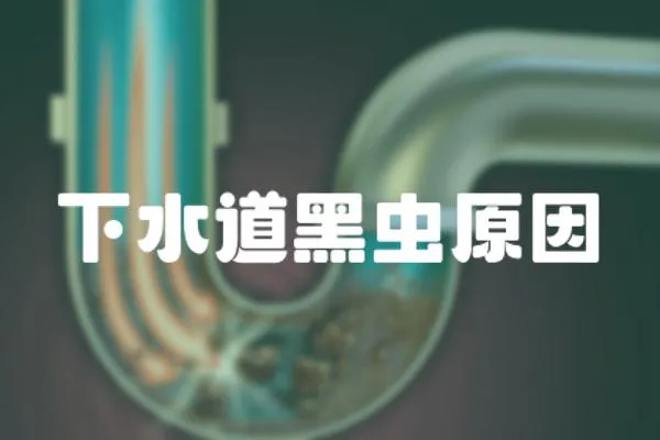 下水道黑蟲原因